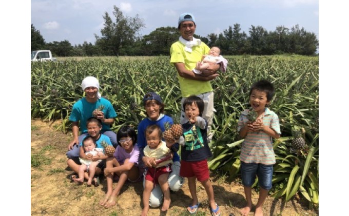 2024年 先行予約 マンゴー 夏小紅 約2kg 3〜6玉 ますみ農園 甘味 スッキリ 果物 フルーツ