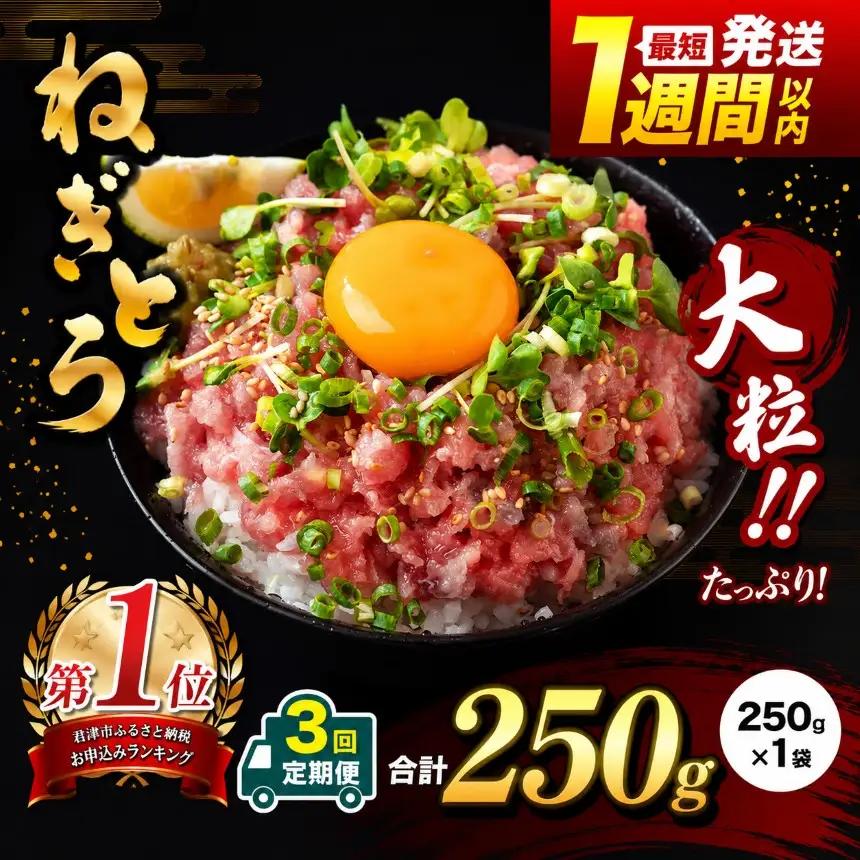 【定期便 3ヶ月】【 簡易包装 】ネギトロ 鮪 250g×１袋 | まぐろのたたき ねぎとろ 清幸丸水産 君津市