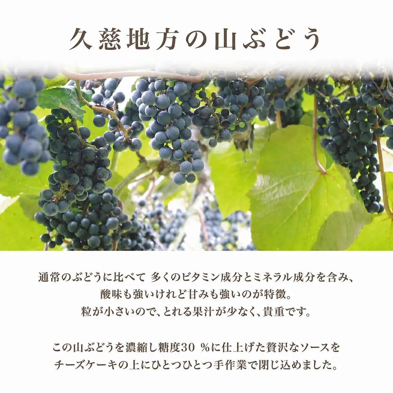 ケーキ 5号 山ぶどうWチーズケーキ