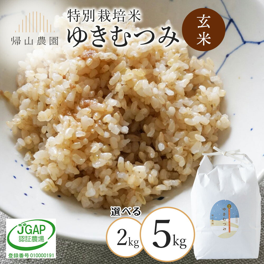 【ふるさと納税】【令和8年産 新米予約】玄米 ゆきむつみ 選べる2kg〜5kg 特別栽培米産地直送《帰山農園》 国産 北海道 北海道米 知内 北海道産 ゆきむつみ 特別栽培米 特別栽培農産物知内町 ふるさと納税 米 こめ 北海道産お米 北海道米 美味しいお米 北海道産米 道産米