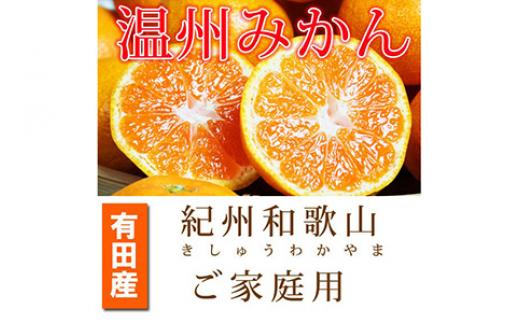 
【ご家庭用訳あり】紀州和歌山有田産温州みかん7.5kg ふるさと納税 ミカン ※2024年11月下旬〜2025年1月下旬頃に順次発送予定
