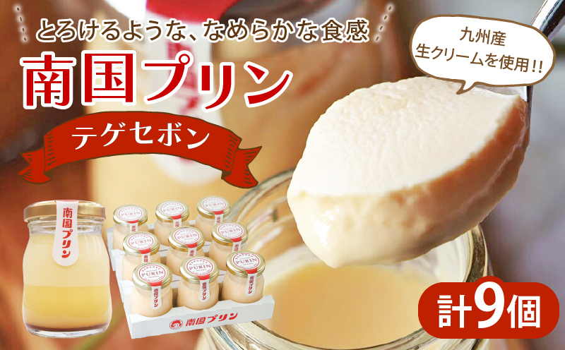 南国プリン「テゲセボン(計9個)」 スイーツ 洋菓子 国産_T038-005