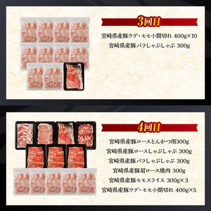 【訳あり定期便】宮崎県産豚肉 お楽しみセット6ヶ月定期便【 ロース とんかつ 豚バラ しゃぶしゃぶ 生姜焼き 小間切れ 豚 肉 豚肉 ミヤチク 全6回 】