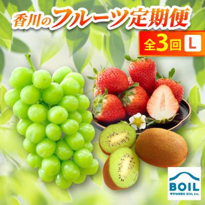 ふるさと納税 香川県 【発送月固定定期便】香川のフルーツ(3L)全3回