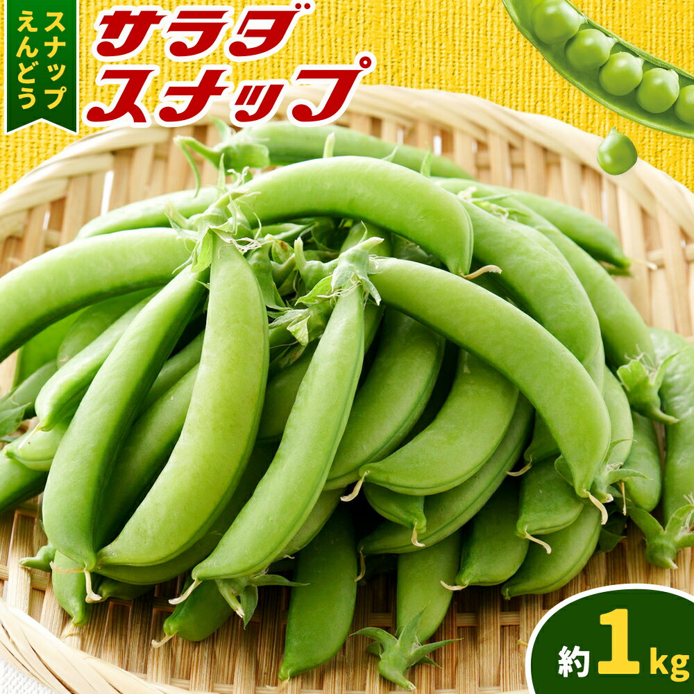 【ふるさと納税】スナップえんどう サラダスナップ 1kg JA菊池 《4月上旬-4月末頃出荷》 熊本県 菊池市 スナップ えんどう 送料無料 おつまみ 野菜