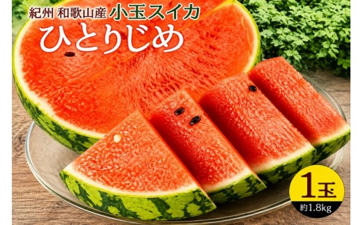 
                  紀州和歌山産 小玉スイカ「ひとりじめ」 1玉【uot402-r-1】
                