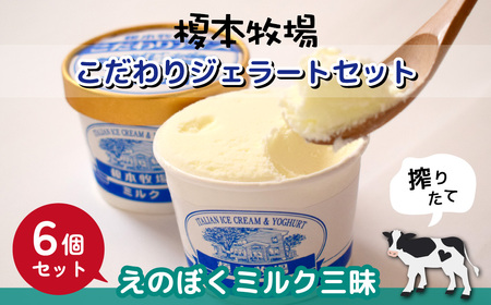 アイス 榎本牧場 こだわり ジェラート 6個セット ミルク三昧
