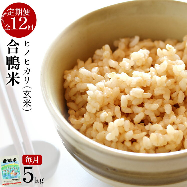 【ふるさと納税】令和7年産 新米予約 合鴨米「ヒノヒカリ」（玄米・5kg）定期便12回コース 数量限定 ※令和7年10月スタートの定期便 BI06