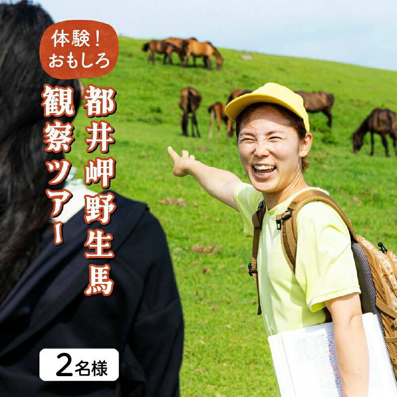 【ふるさと納税】体験！おもしろ『都井岬野生馬』観察ガイドツアー ツアー 宮崎県 ガイド 串間市 送料無料