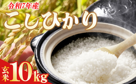 ☆令和7年産☆ コシヒカリ(玄米)　10kg | 米 こしひかり