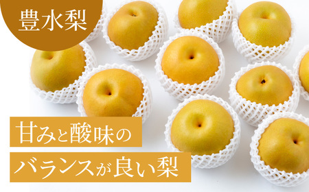 P195-03 春光園 豊水梨 6～10玉 (約3kg) 8月中旬?8月下旬お届け