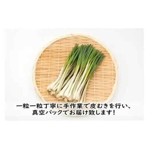 島らっきょう（200g）AZ107