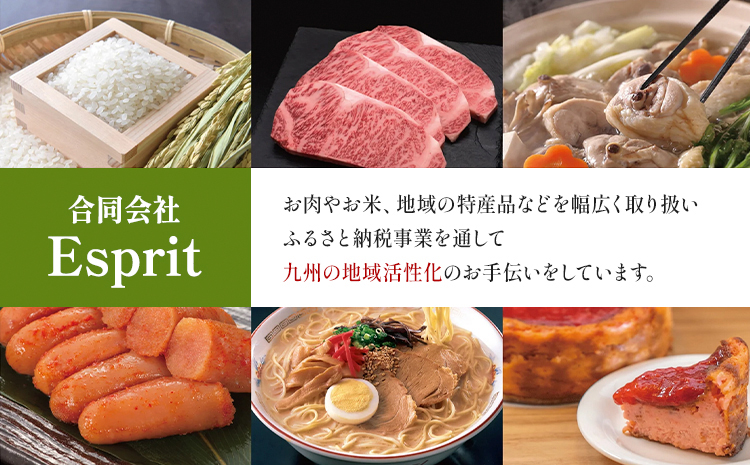 【ふるさと納税】 【A4～A5】くまもと黒毛和牛 切り落とし 500g 《30日以内に出荷予定(土日祝除く)》 牛肉 くまもと黒毛和牛 黒毛和牛 冷凍庫 切り落とし