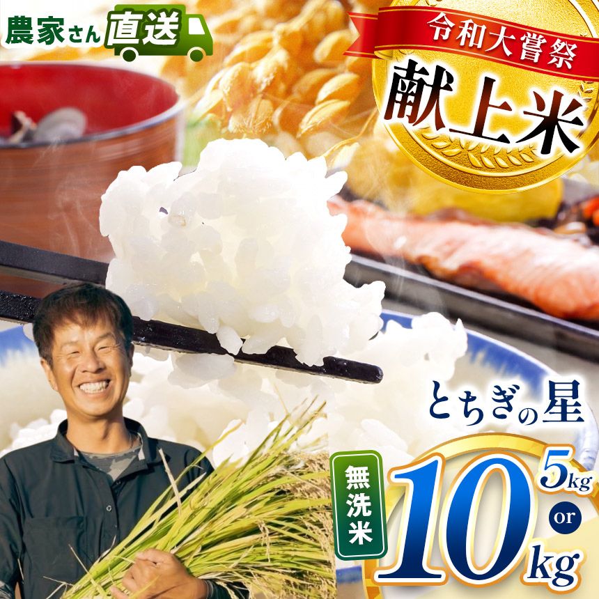【ふるさと納税】 限定 お米 無洗米 米 こめ コメ とちぎの星 5kg 10kg 定期便 3回 令和 大嘗祭 献上米 | 令和7年度 収穫 2025年 秋 米 白米 精米 食べ比べ ご飯 おいしい こしひかり コシヒカリ 栃木県 真岡市 送料無料
