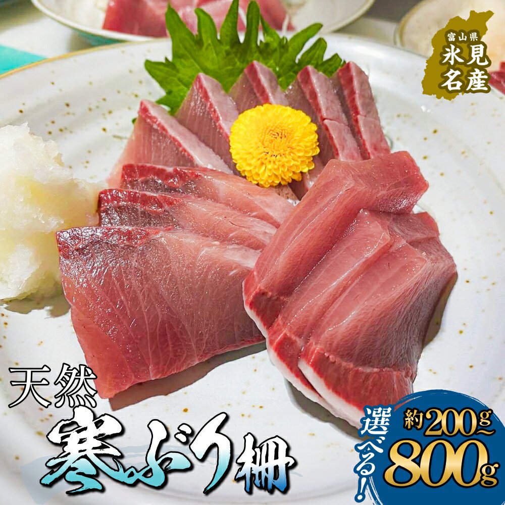 【ふるさと納税】氷見産 天然寒ぶり 柵 量が選べる 2-8人前 約200g-800g | 釣屋魚問屋直営 ひみ岸壁市場