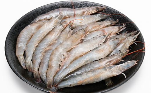 地球に優しい国産エビ　冷凍「幸えび」160g×3袋(合計480g)静岡県磐田市産【配送不可地域：離島】