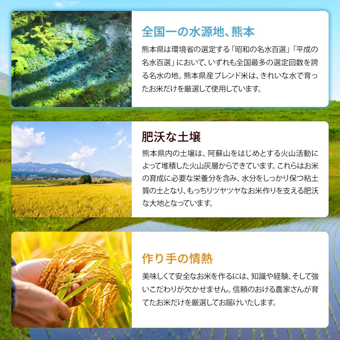 【24ヶ月定期便】熊本県産 くまもとあっぱれ米 ブレンド米 10kg 無洗米《お申込み翌月から出荷》