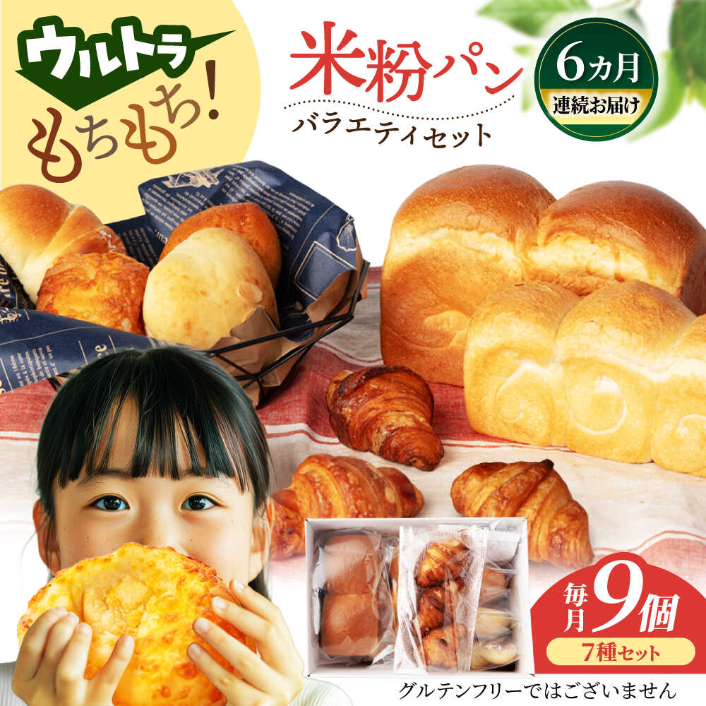 【ふるさと納税】【6回定期便】ウルトラもちもち米粉パン セット9個×6=総計54個【米粉パン専門店・cafeまごころ米て】国産 食パン 惣菜パン 菓子パン [MDH011]