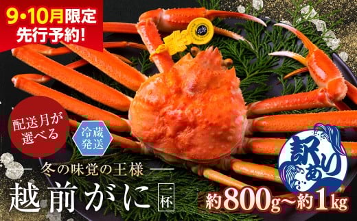 【2026年3月発送・月指定可】【先行予約 9月10月限定】越前がに（オス）「ずわいがに」大サイズ（800g-1kg） 訳あり 1杯