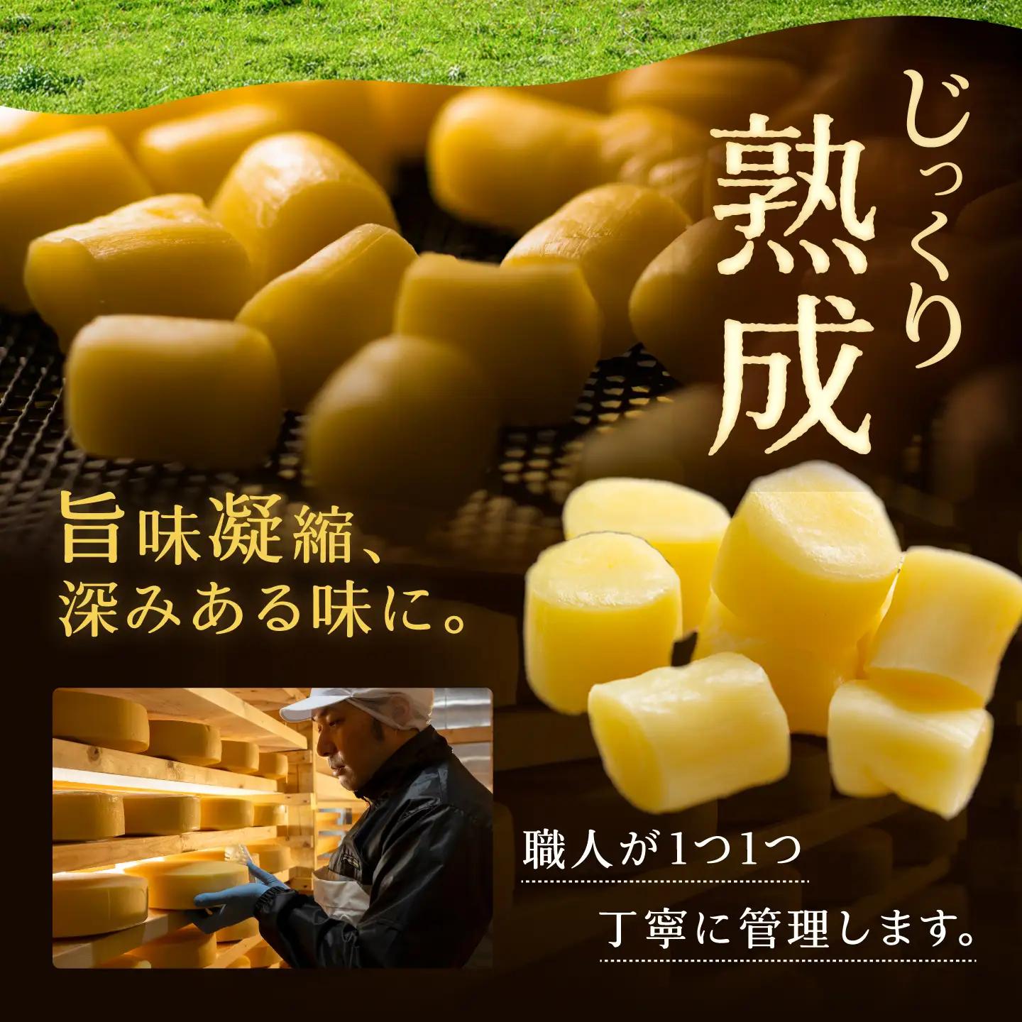 十勝チーズ 熟モッツァレラ 250g×2袋 チーズ [BEAU002]