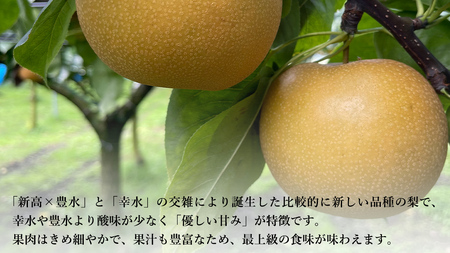 【 先行予約 】茨城県産 梨 あきづき 約 3kg 6玉～7玉( 茨城県共通返礼品 : 常陸太田市 ) 【 2024年 9月中旬頃より発送 】 フルーツ 果物 国産 日本産 梨 ナシ なし 和梨 秋月