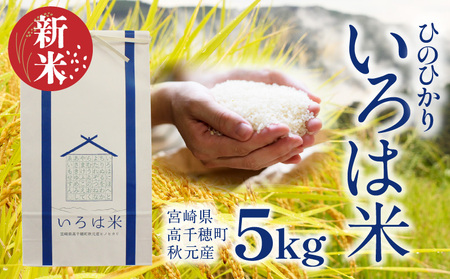 【先行予約】《令和6年度米》いろは米 棚田米 白米 ひのひかり 宮崎県高千穂町[秋元産］5kg Tk015-059
