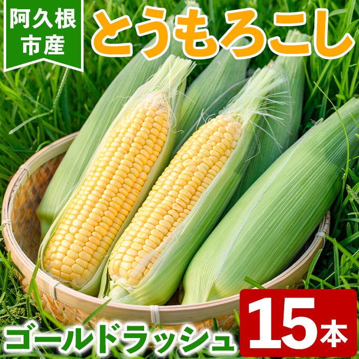 ＜先行予約受付中！2025年6月以降順次発送予定＞とうもろこし ゴールドラッシュ(15本) 国産 旬 野菜 青果 トウモロコシ 期間限定【笹原正樹】a-12-315-z