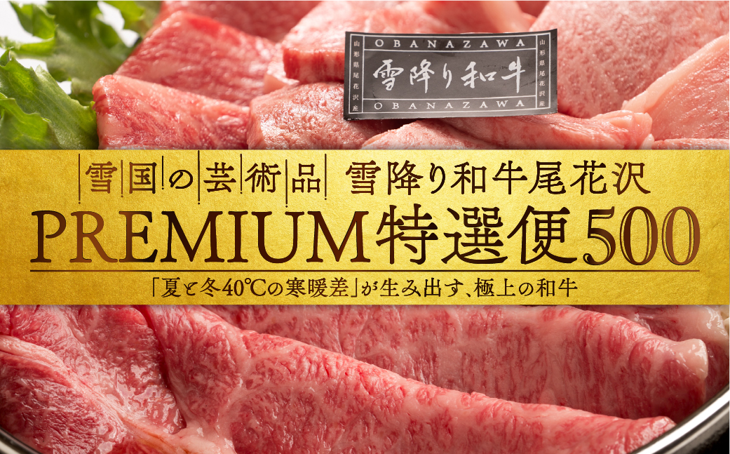 雪国の芸術品　雪降り和牛尾花沢PREMIUM特選便500　定期便（00500A）