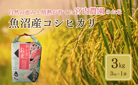 魚沼産コシヒカリ 3kg 宮内農園 / 魚沼産コシヒカリ 3kg