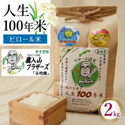 ふるさと納税 安来市 ピロール米コシヒカリ (白米) 2kg×1袋