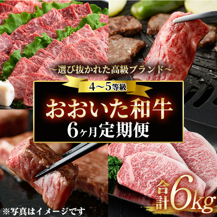 【ふるさと納税】＜定期便・全6回 (隔月)＞おおいた和牛 定期便 (総量6kg) しゃぶしゃぶ ステーキ 焼肉 すき焼き モモ サーロイン ソース付き ばら ロース ヒレ 小分け 国産 4等級 和牛 牛肉 大分県 佐伯市【DP70】【(株)まるひで】