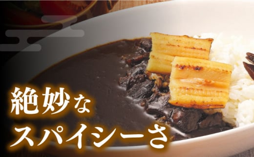 FISH COOK BOOK 対馬防人あなごカレー 4個 セット《 対馬市 》【 うえはら株式会社 】 優勝商品 対馬 あなご 穴子 常温 レトルトカレー スパイス 自衛隊 コラボ おみやげ [WAI