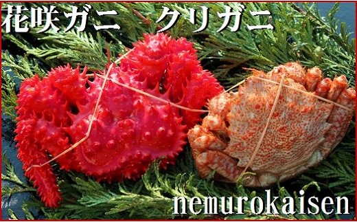 
                  A-57016 【北海道根室産】花咲ガニとクリガニセット(チルド便)
                