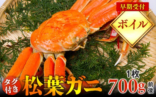 【早期受付】【ボイル】タグ付き松葉ガニ　中1枚（700g前後）《かに カニ 蟹 ズワイガニ 》※着日指定不可※2026年11月上旬頃から順次発送予定|蟹 かに 松葉ガニ 松葉蟹 鳥取県産 北栄町 おすすめ 人気