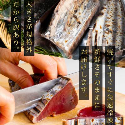 ふるさと納税 芸西村 【毎月定期便】人気海鮮返礼品を集めた4ヶ月定期便【t022kyf】　全4回 |  | 01