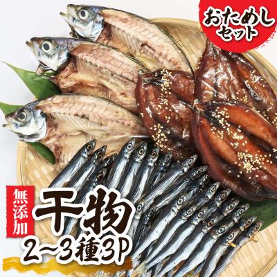 ふるさと納税 土佐清水市 【お試し 干物セット】季節の魚入り 干物詰め合わせセット 2〜3種類【乾物・ギフト対応】R00795