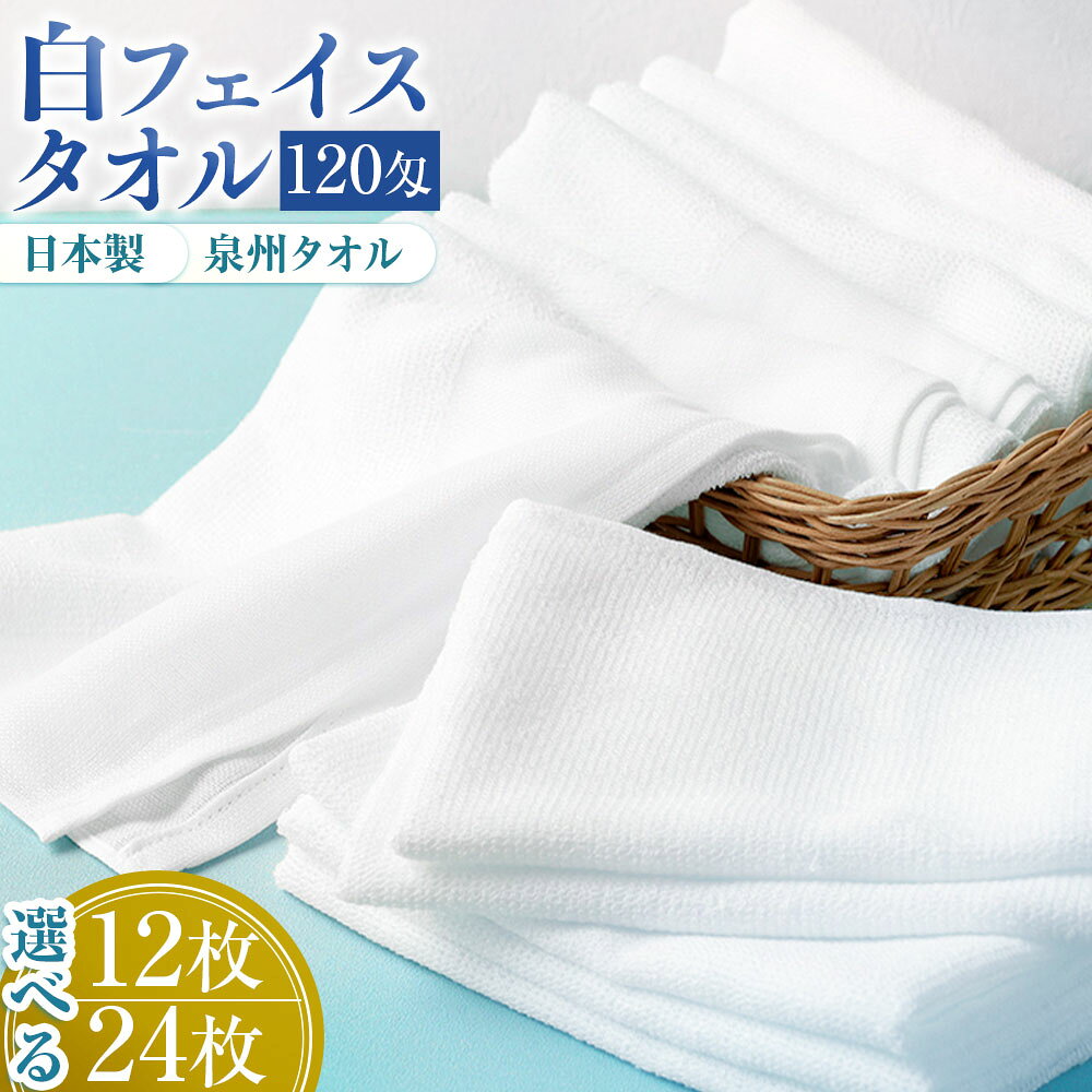 【ふるさと納税】【選べる容量】薄くて軽～い！日本製白フェイスタオル 12枚 / 24枚（TK206/120匁）タオル 国産タオル フェイスタオル セット 大容量 泉州タオル 安心安全 吸水性 日用品 雑貨 ギフト プレゼント 風呂 バスタイム 入浴 薄手 速乾 軽い
