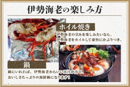 冷凍伊勢海老カット（サイズ不揃い）約2ｋｇ