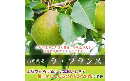 中山町の至高！ 山形県中山町 厳選フルーツ定期便 全3回 【2025年8月発送開始】 F4A-0384