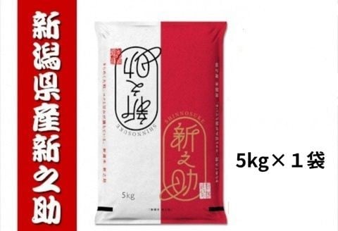 
                  【令和7年産】新之助 5kg  白米 精米 井上米穀店 1I26019
                