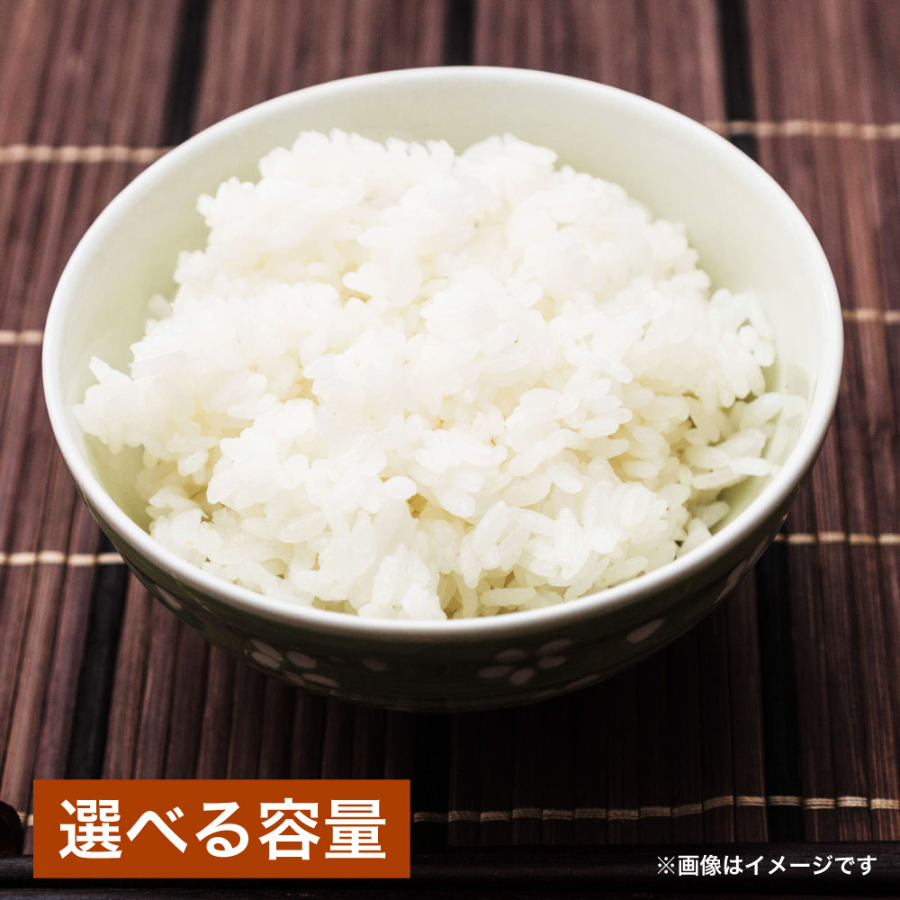 【ふるさと納税】＜選べる内容量＞令和6年産 大分県産米 竹田米 精米 5kg 計10kg 1袋あたり5kg 2袋 お米 複数原料米 10割 大分県産 国産 大分県 竹田市 送料無料【2025年6月上旬より順次発送】