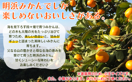 ＜愛媛県明浜産 天晴みかん（温州みかん）約10kg 小玉サイズ＞ 家庭用 訳あり ワケアリ 果物 くだもの フルーツ ミカン 柑橘 特産品 笑丸 愛媛県 西予市【常温】『2026年11月中旬～2027