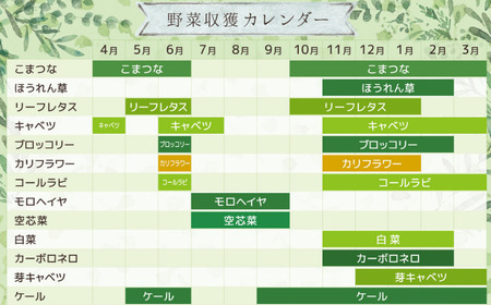 【毎月定期便3回】季節の野菜セット (8~10種)《お申込み翌月から出荷》