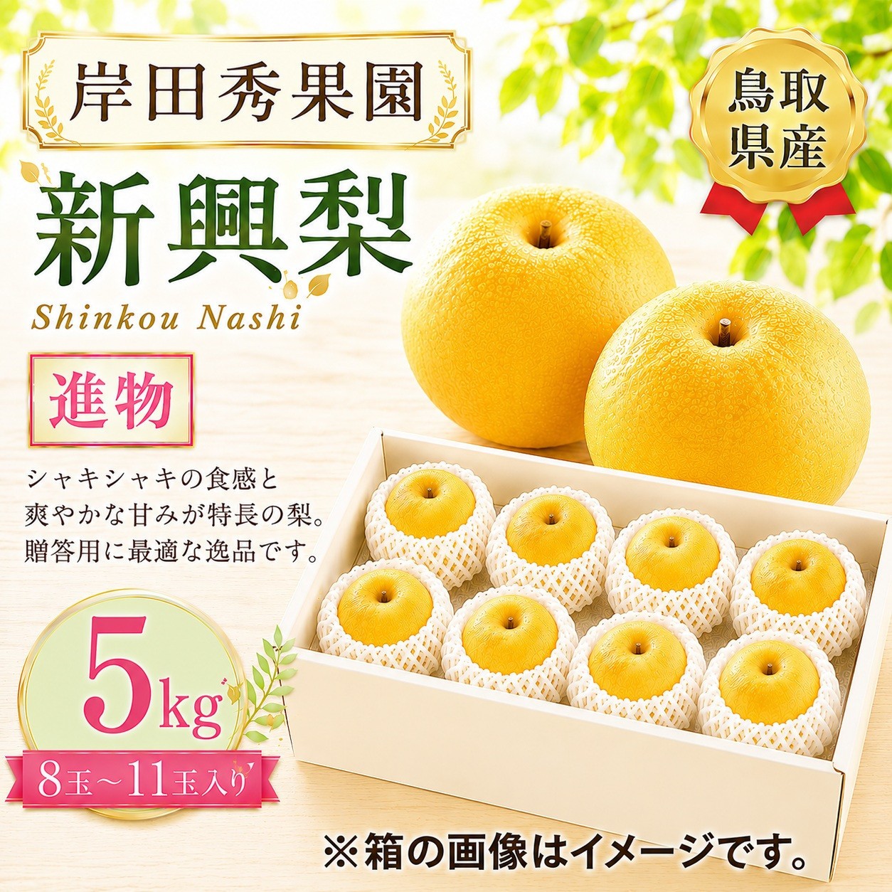 
                  岸田秀果園 新興梨 進物5kg 【鳥取県 境港市】
                