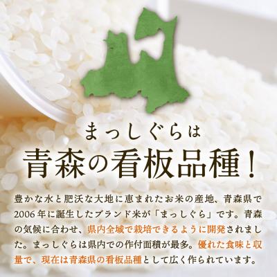 ふるさと納税 五所川原市 【定期便 3ヶ月】 無洗米 10kg まっしぐら 青森県産  定期便3回 10kg×3回 |  | 01