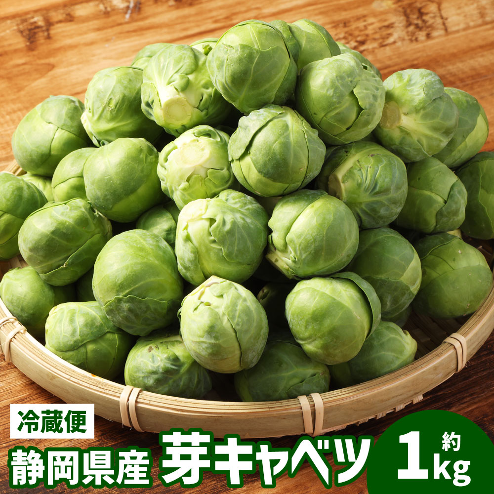 【ふるさと納税】芽キャベツ 約1kg キャベツ ミニキャベツ 小さい 野菜 やさい 天ぷら シチュー グラタン 国産 静岡県産 静岡県 菊川市 送料無料【2026年1月上旬-2月下旬まで順次発送予定】