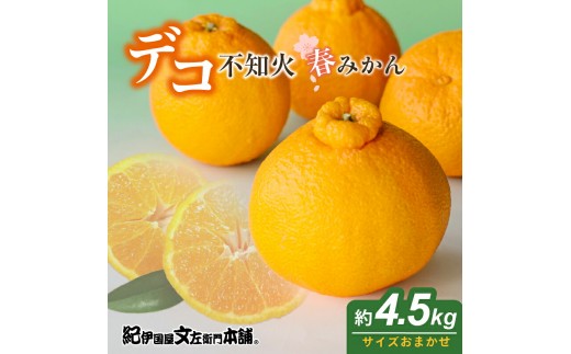 
                  「デコ」 不知火 約4.5kg 湯浅町田村産 (果実サイズおまかせ) 春みかん / 紀伊国屋文左衛門本舗_V7076
                