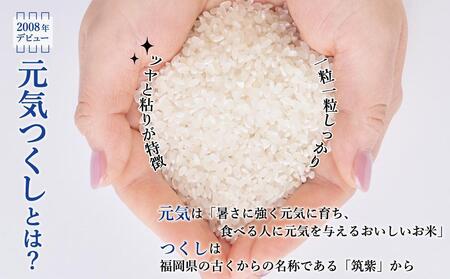 玄米(特別栽培農産物)元気つくし 5kg×2袋 (計10kg)