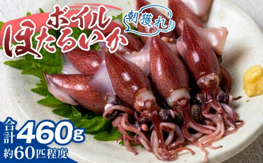 【先行予約】ボイルほたるいか【冷蔵でお届け】【27年3月中旬以降順次発送】カネツル砂子商店 【ほたるいか ホタルイカ 便利 国産 水揚げ いか イカ おすすめ カネツル砂子商店 冷蔵 朝どれ おつまみ 旬 富山】