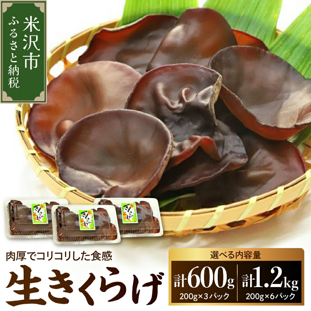 【ふるさと納税】《先行予約》【期間限定】 米沢産 生きくらげ 選べる内容量(計 600g / 1.2kg ) 6～10月中旬頃配送 キクラゲ 木耳 きのこ キノコ 野菜 栄養豊富 肉厚 贈答 ギフト お試し 国産 山形県 米沢市